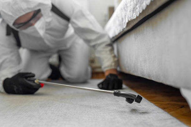 Professional Bed Bug Control technician working in Hudson Falls, NY