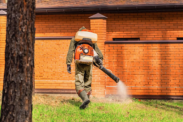 Trusted Rodent Control service in Hudson Falls, NY - Nex Pest Control